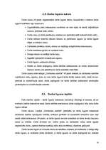 Referāts 'Noma un īre. Darba likums. Uzņēmuma likums', 14.