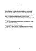 Referāts 'Mīlestības izpratne jauniešu vidū Rēzeknē', 28.