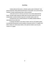 Referāts 'Mīlestības izpratne jauniešu vidū Rēzeknē', 29.