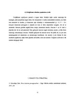 Referāts 'Jāzeps Vītols "Dziesmu gars"', 11.