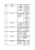 Referāts 'Slengismi Laimas Muktupāvelas romānā "Šampinjonu derība"', 6.