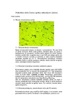 Konspekts 'Dzelzs oglekļu sakausējumi', 2.