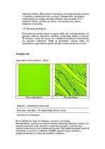 Konspekts 'Dzelzs oglekļu sakausējumi', 4.