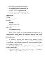 Diplomdarbs 'Radošās darbības veicināšanas iespējas vizuālās mākslas nodarbībās sākumskolas 1', 8.