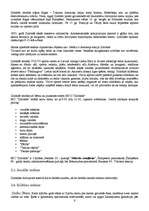 Prakses atskaite 'Sociālpedagoģiskais darbs Ziemeļvalstu ģimnāzijā', 6.