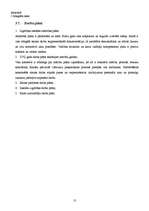 Prakses atskaite 'Sociālpedagoģiskais darbs Ziemeļvalstu ģimnāzijā', 13.