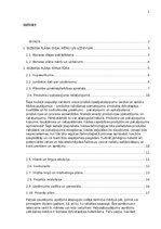 Konspekts 'Biznesa plāna izstrādes vadlīnijas', 2.