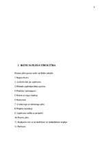 Konspekts 'Biznesa plāna izstrādes vadlīnijas', 6.