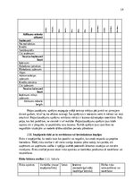 Konspekts 'Biznesa plāna izstrādes vadlīnijas', 19.