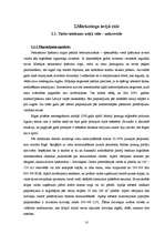 Referāts 'Reklāmas plāns "Arco Real Estate" uzņēmumam', 10.