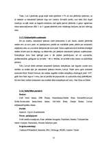 Referāts 'Reklāmas plāns "Arco Real Estate" uzņēmumam', 14.