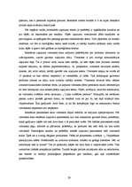 Referāts 'Reklāmas plāns "Arco Real Estate" uzņēmumam', 29.