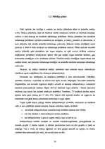 Referāts 'Reklāmas plāns "Arco Real Estate" uzņēmumam', 30.