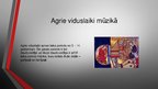 Prezentācija 'Agrie viduslaiki mūzikā', 2.