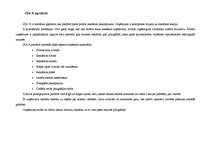 Prakses atskaite 'Reklāmas un poligrāfijas uzņēmums', 4.