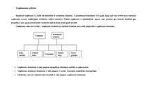 Prakses atskaite 'Reklāmas un poligrāfijas uzņēmums', 5.