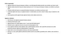 Prakses atskaite 'Reklāmas un poligrāfijas uzņēmums', 6.