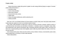 Prakses atskaite 'Reklāmas un poligrāfijas uzņēmums', 8.