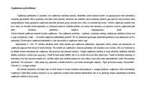 Prakses atskaite 'Reklāmas un poligrāfijas uzņēmums', 10.