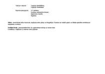 Prakses atskaite 'Reklāmas un poligrāfijas uzņēmums', 14.