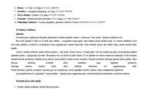 Prakses atskaite 'Reklāmas un poligrāfijas uzņēmums', 16.