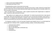 Prakses atskaite 'Reklāmas un poligrāfijas uzņēmums', 17.