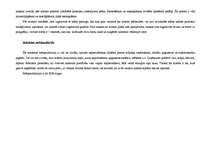 Prakses atskaite 'Reklāmas un poligrāfijas uzņēmums', 19.