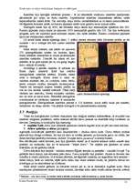 Referāts 'Senās upju ieleju civilizācijas: kopīgais un atšķirīgais', 11.