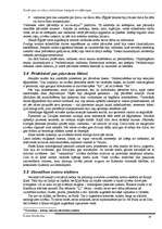 Referāts 'Senās upju ieleju civilizācijas: kopīgais un atšķirīgais', 19.