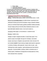 Konspekts 'Pasākumu un konferenču rīkošana', 3.