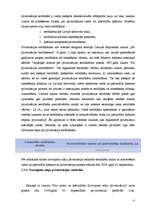 Referāts 'Objekta sagatavošana privatizācijai', 17.