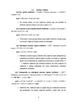 Referāts 'SIA "Rīgas pilsētbūvnieks" iekšējais audits', 15.