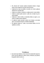 Referāts 'SIA "Rīgas pilsētbūvnieks" iekšējais audits', 17.