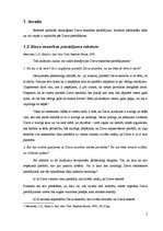 Referāts 'Ontoloģiskais Dieva esamības pierādījums', 2.