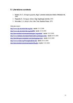 Referāts 'Ontoloģiskais Dieva esamības pierādījums', 11.