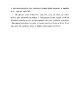 Referāts 'Zaļie jumti ilgtermiņā Latvijā', 8.