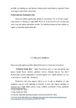 Referāts 'Zaļie jumti ilgtermiņā Latvijā', 13.