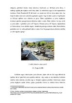 Referāts 'Zaļie jumti ilgtermiņā Latvijā', 15.