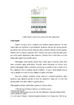 Referāts 'Zaļie jumti ilgtermiņā Latvijā', 19.