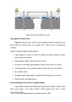 Referāts 'Zaļie jumti ilgtermiņā Latvijā', 21.