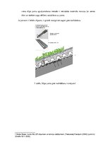 Referāts 'Zaļie jumti ilgtermiņā Latvijā', 26.