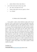 Referāts 'Zaļie jumti ilgtermiņā Latvijā', 35.