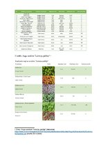 Referāts 'Zaļie jumti ilgtermiņā Latvijā', 38.