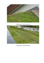 Referāts 'Zaļie jumti ilgtermiņā Latvijā', 46.