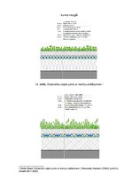 Referāts 'Zaļie jumti ilgtermiņā Latvijā', 47.