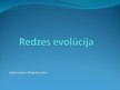 Prezentācija 'Redzes evolūcija', 1.
