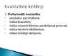 Prezentācija 'Tirdzniecības personāla darba organizēšana un vadīšana', 14.
