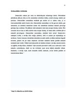 Referāts 'Vīrišķā faktora izmantošana AS "Aldaris" un žurnāla "FHM" reklāmās', 13.