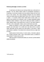 Referāts 'Vīrišķā faktora izmantošana AS "Aldaris" un žurnāla "FHM" reklāmās', 14.