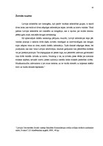 Referāts 'Vīrišķā faktora izmantošana AS "Aldaris" un žurnāla "FHM" reklāmās', 16.